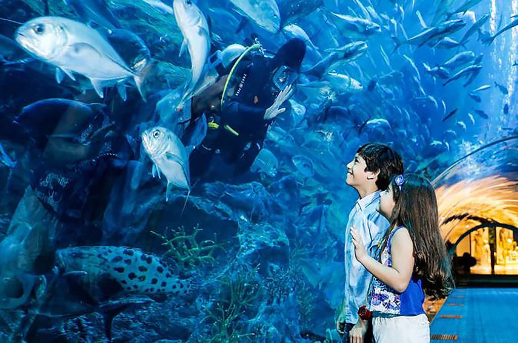 «آکواریوم دبی» یکی از تاپ ترین جاذبه های توریستی دبی است. در این آکواریوم که در طبقه پایین مرکز خرید دبی مال است، 140 گونه دریایی زندگی می کند. 